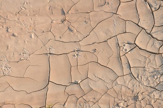 Dry cracked earth.