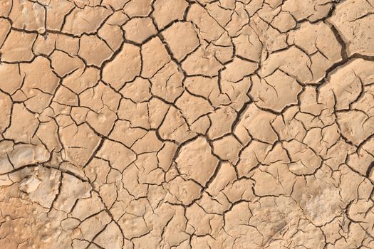 Dry cracked earth.