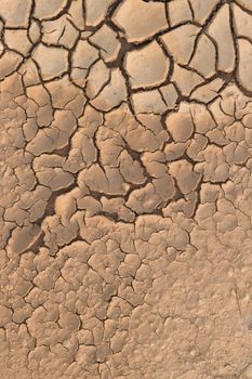 Dry cracked earth.