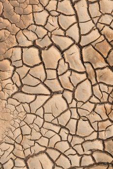 Dry cracked earth.