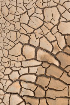 Dry cracked earth.