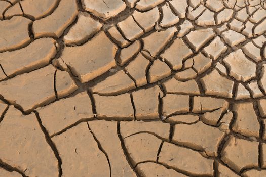 Dry cracked earth.