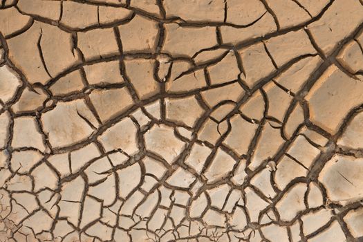 Dry cracked earth.