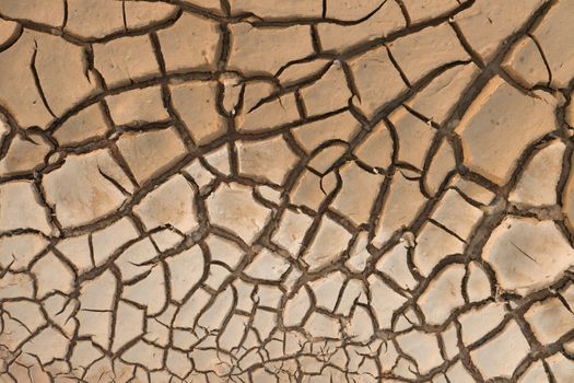 Dry cracked earth.