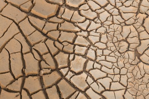 Dry cracked earth.