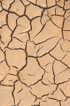 Dry cracked earth.