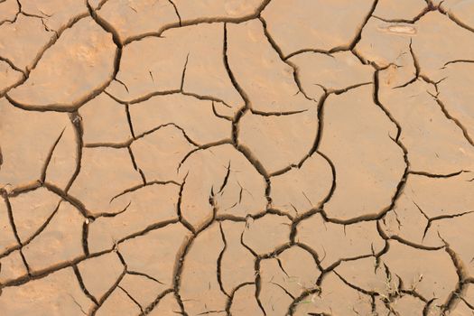 Dry cracked earth.