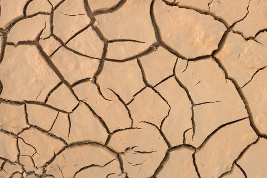 Dry cracked earth.