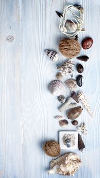 Frame of Various Shells, Dry Plants, Stones and Chalk closeup on Light Blue Wooden background. Top View