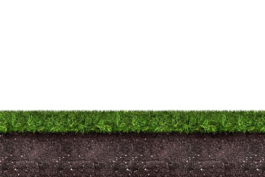 green grass with soil on white,3d rendering