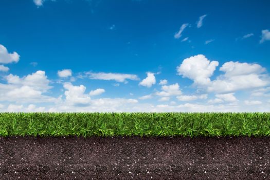 green grass with soil on blue sky.,3d rendering