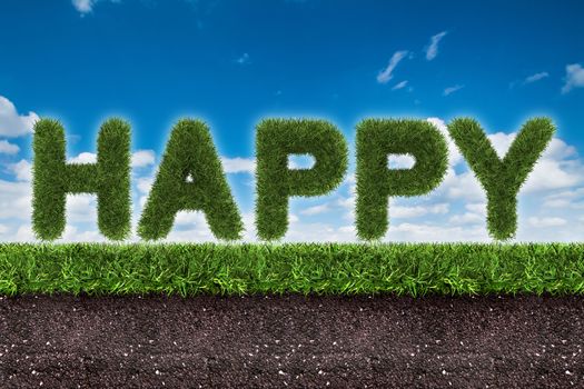 happy text on green grass with soil on blue sky, 3d rendeirng