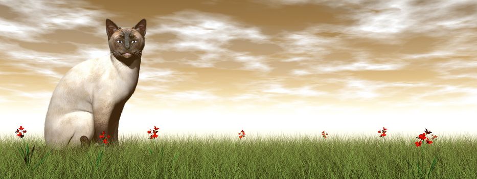 Siamese cat standing quietly in the grass by sunset - 3D render