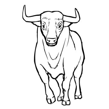 freehand sketch illustration of bull,  doodle hand drawn