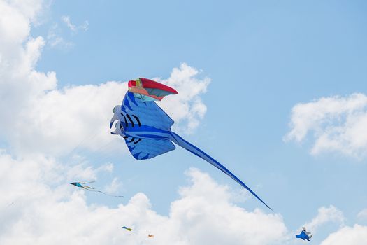 kites flying in a blue sky. Kites of various shapes. kiting