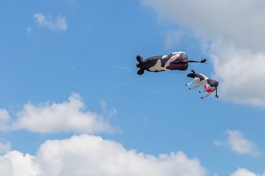 kites flying in a blue sky. Kites of various shapes. kiting