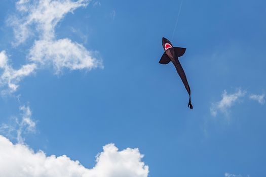 kites flying in a blue sky. Kites of various shapes. kiting