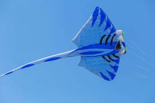 kites flying in a blue sky. Kites of various shapes. kiting