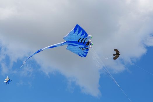 kites flying in a blue sky. Kites of various shapes. kiting