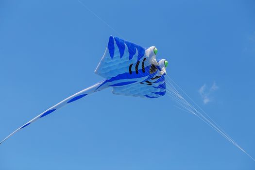 kites flying in a blue sky. Kites of various shapes. kiting