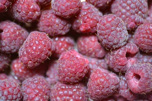 Close up of fresh raspberries