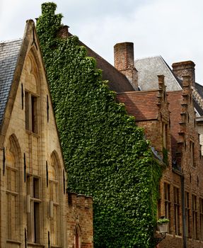 Old Medieval Houses with Wall of Ivy against Cloudy Sky Outdoors. Bruges, Belgium