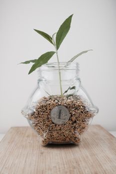 Digital currency physical silver Litecoin coin in glass jar with green plant.