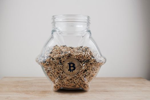 Digital currency physical gold bitcoin coin in glass jar with seeds.