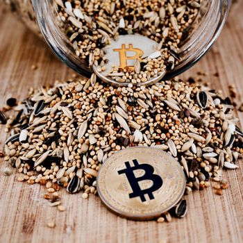 Cryptocurrency physical silver and gold bitcoin coin and seeds.