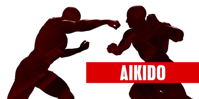 Aikido Class with Silhouette of Two Men Fighting