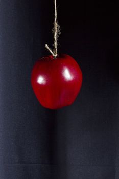 Red ripe apple on a rope on a dark background