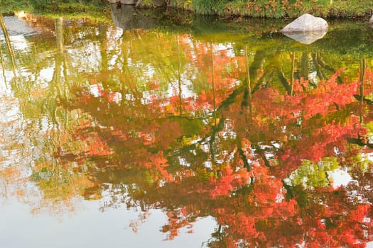 Abstract colorful reflection of vibrant Japanese autumn maple leaves on pond waters in horizontal frame