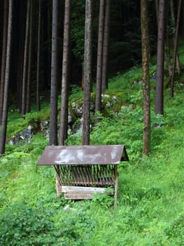 Empty Wildlife Forage Fodder Station in Mountain Forest