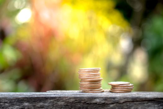 coins stacks grow on nature background