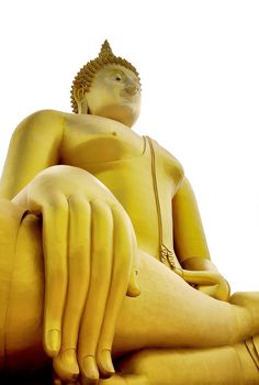 Buddha statue on white background