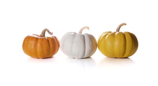 pumpkins close up isolated on white.