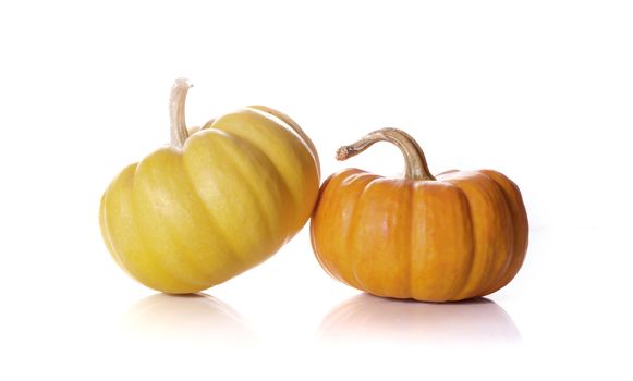 pumpkins close up isolated on white.