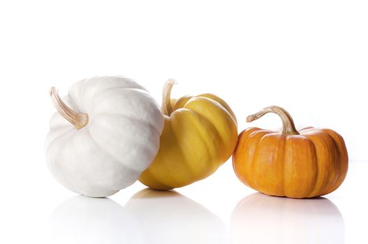 pumpkins close up isolated on white.