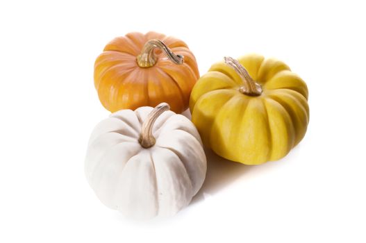 pumpkins close up isolated on white.