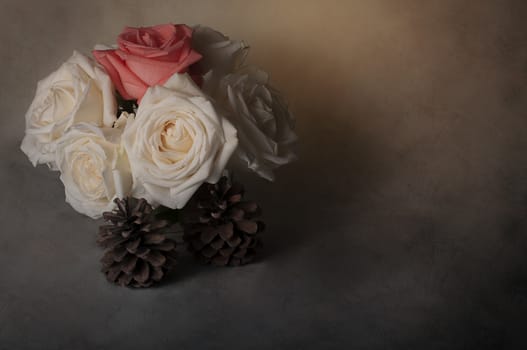 rose flowers close up on background.