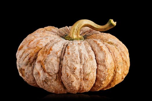 Old yellow pumpkin on a black background.