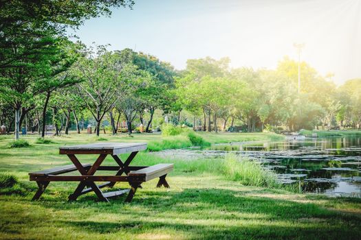 The park in natural place background.
