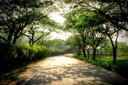 The park in natural place background.
