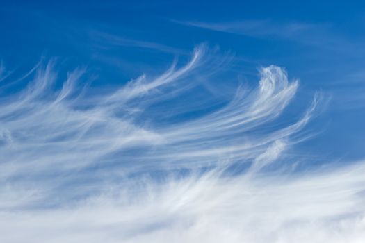 Background of a fragment of the sky with cirrus clouds in summer day
