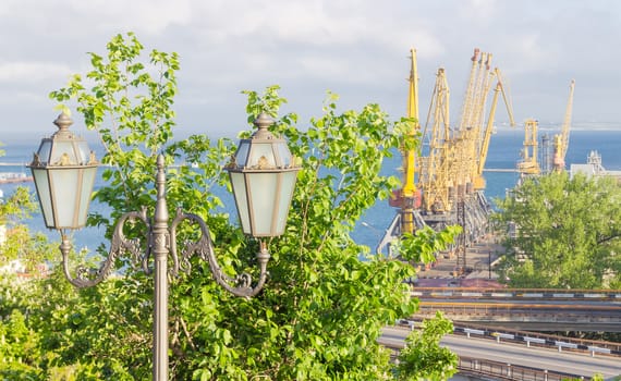 Part of the sea cargo port with berth and different harbor cranes with street light and trees on the foreground
