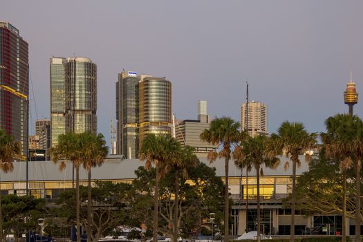 Sydney CBD skyscrapers and Sydney Tower at dusk seen from the suburb of Pyrmont. Tall buildings in Sydney at night with Jones Bay Wharf in the foreground.