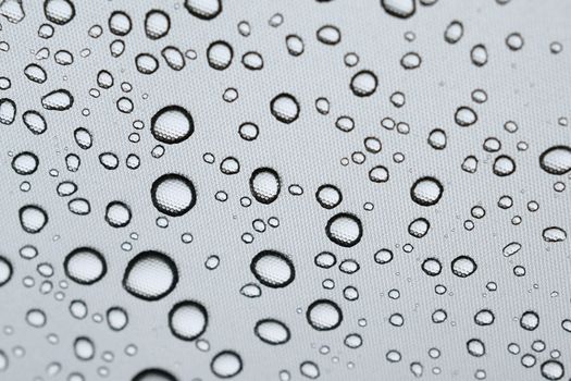 Macro rain water droplets on clear plastic umbrella