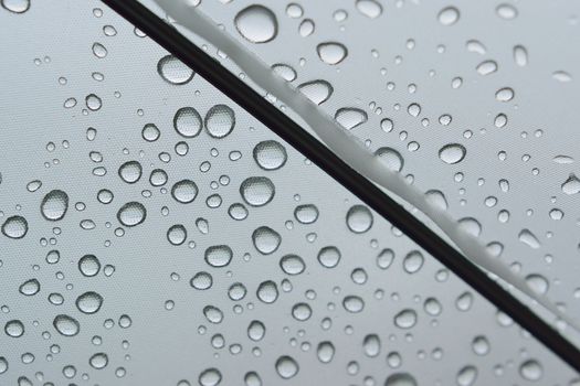 Macro rain water droplets on clear plastic umbrella in horizontal frame