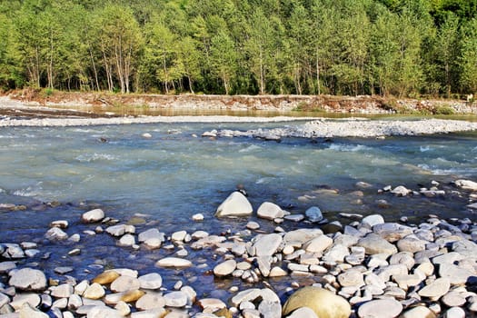 A mountain river with a rapid current and a forest in the summer.