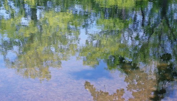 The trees reflected in the water in the city park.